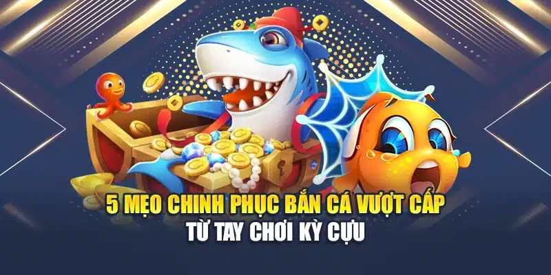 Học Hỏi Kinh Nghiệm Chinh Phục Bắn Cá Vượt Cấp Online 3 5 mẹo chinh phục bắn cá vượt cấp từ tay chơi kỳ cựu