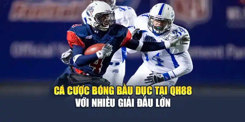 Cá Cược Bóng Bầu Dục Tỷ Lệ Hấp Dẫn, Trải Nghiệm Đỉnh Cao 2 Cá cược bóng bầu dục tại QH88 với nhiều giải đấu lớn