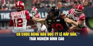 Cá Cược Bóng Bầu Dục Tỷ Lệ Hấp Dẫn, Trải Nghiệm Đỉnh Cao