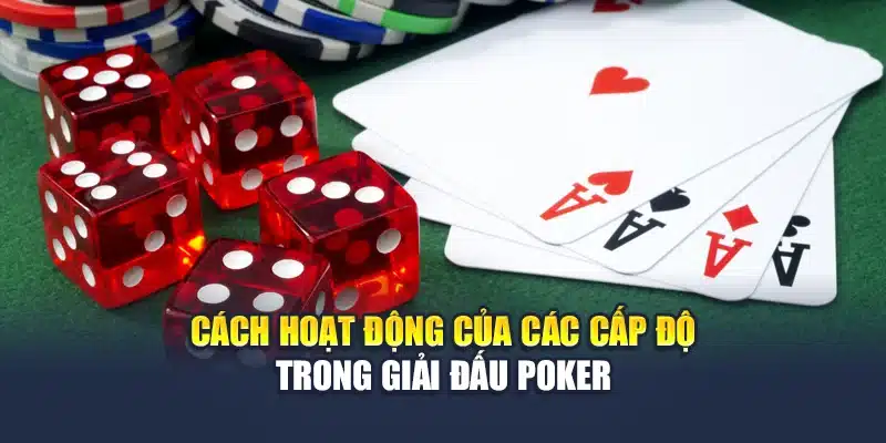 Giải Đấu Poker Là Gì Và Cơ Chế Hoạt Động Như Thế Nào? 3 Cách hoạt động của các cấp độ trong giải đấu Poker