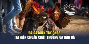 Đá Gà Miền Tây QH88 Tái Hiện Chuẩn Chất Trường Gà Dân Dã