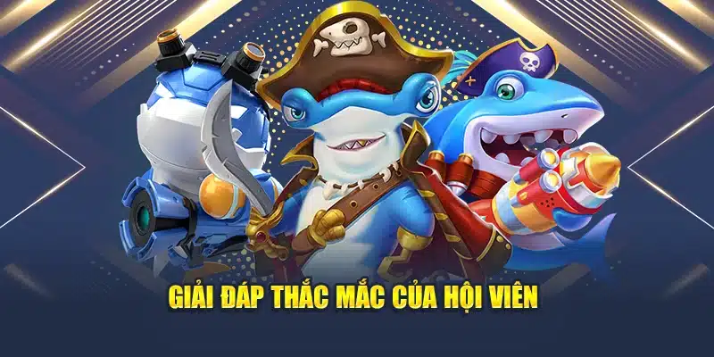 Nắm Trọn Các Mẹo Quản Lý Vốn Khi Chơi Bắn Cá Trực Tuyến 4 Giải đáp thắc mắc của hội viên