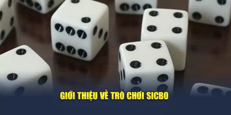 Khám Phá Tất Tần Tật Về Tựa Game Sicbo Online Đình Đám 2 Giới thiệu về trò chơi Sicbo
