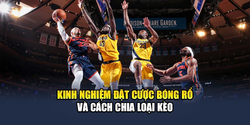 Kinh Nghiệm Đặt Cược Bóng Rổ QH88 Dễ Hiểu, Hiệu Quả Cao 1 Kinh nghiệm đặt cược bóng rổ và cách chia loại kèo