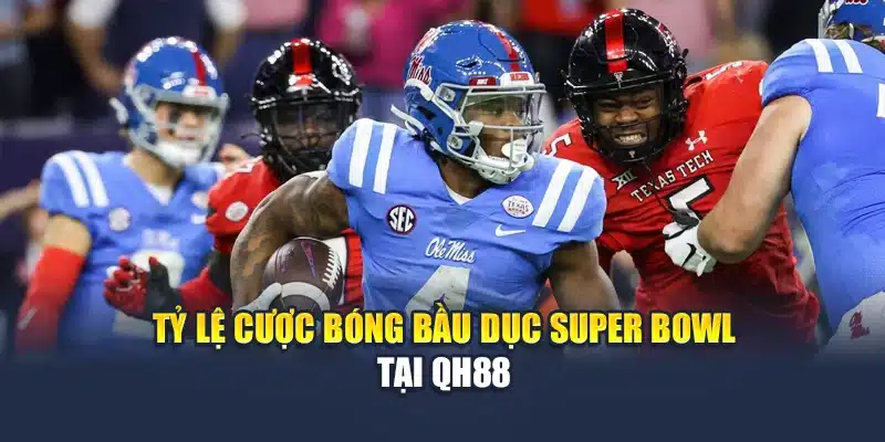 Cá Cược Bóng Bầu Dục Tỷ Lệ Hấp Dẫn, Trải Nghiệm Đỉnh Cao 3 Tỷ lệ cược bóng bầu dục Super Bowl tại QH88