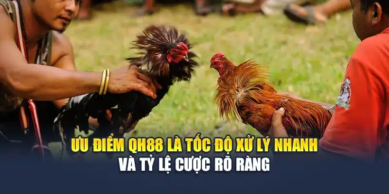 Đá Gà Miền Tây QH88 Tái Hiện Chuẩn Chất Trường Gà Dân Dã 3 Ưu điểm QH88 là tốc độ xử lý nhanh và tỷ lệ cược rõ ràng